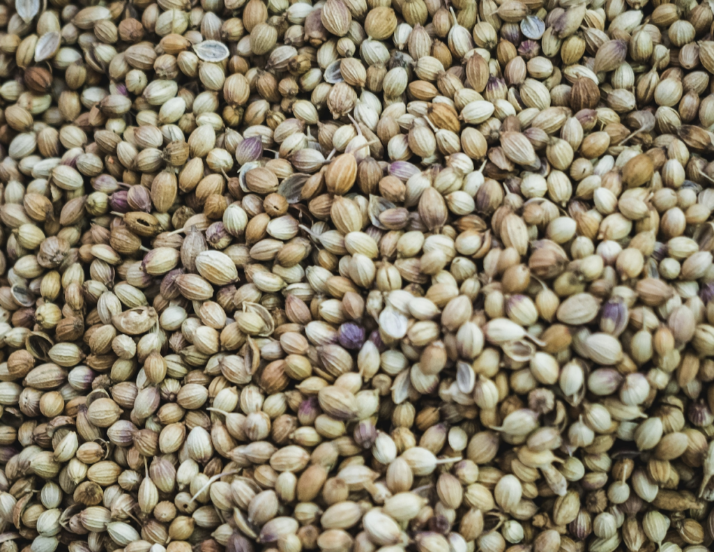 seeds image category