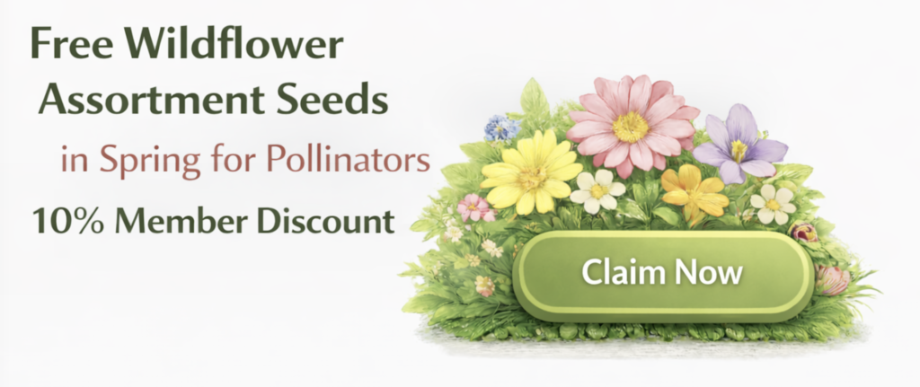 button for free sign up