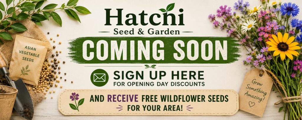 hatchi asian seed sign up